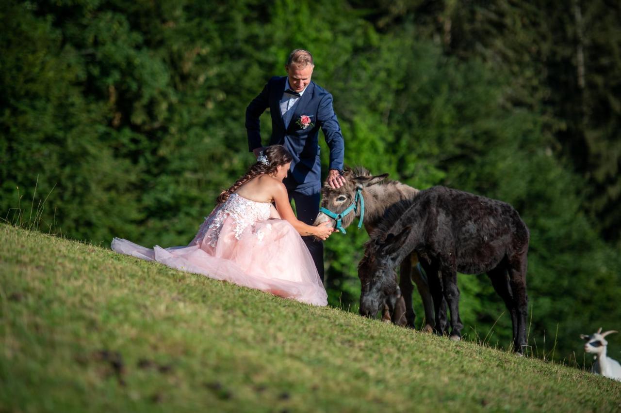 Appartamento Domacija Za Robom Cerkno Esterno foto