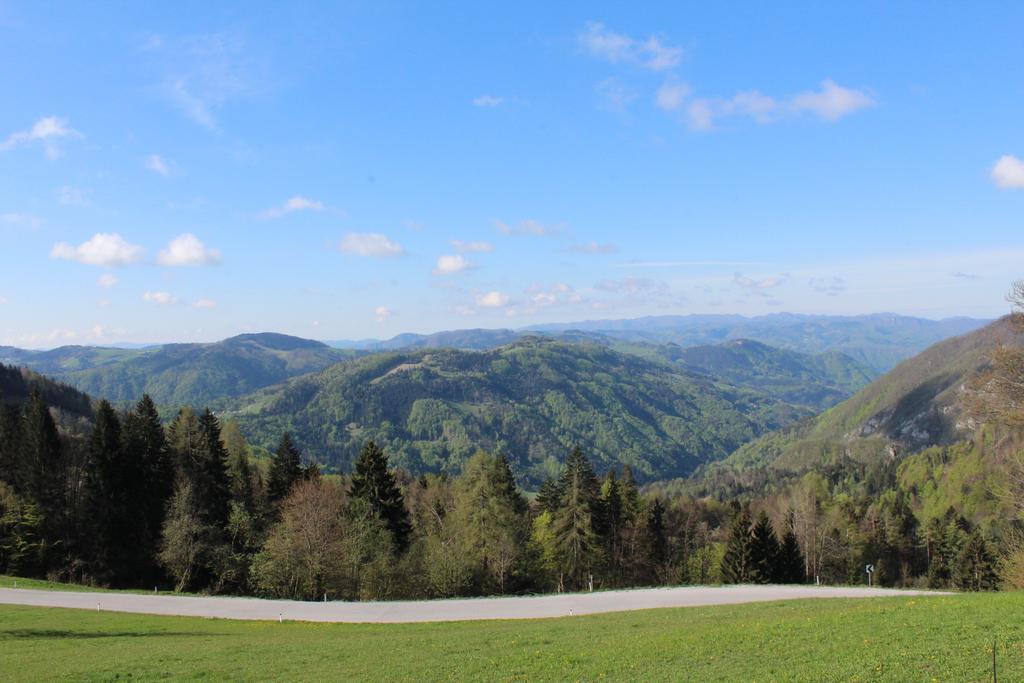 Appartamento Domacija Za Robom Cerkno Esterno foto