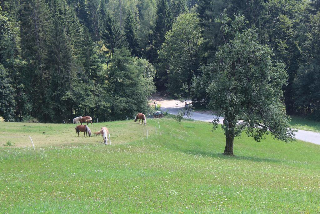 Appartamento Domacija Za Robom Cerkno Esterno foto
