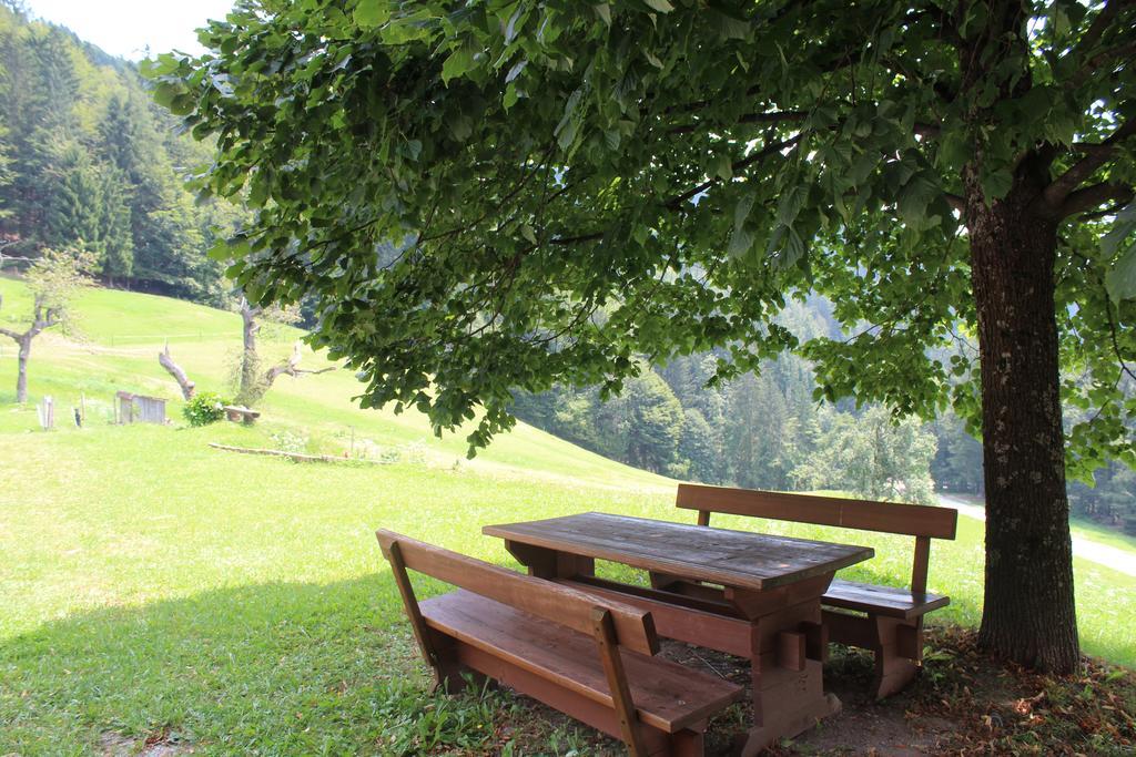 Appartamento Domacija Za Robom Cerkno Esterno foto